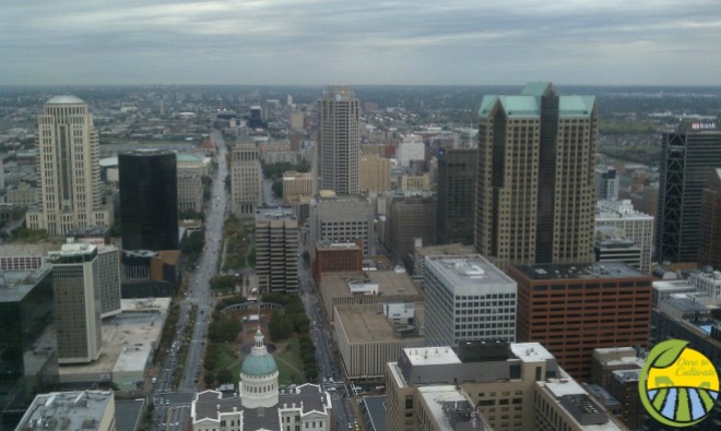 view from St. Louis arch