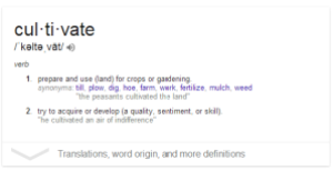 Cultivate definition